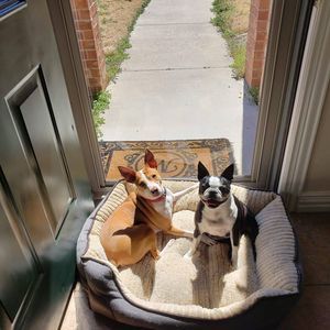 Meet your Posher, Jerry